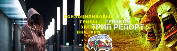 шишки Гусиноозёрск