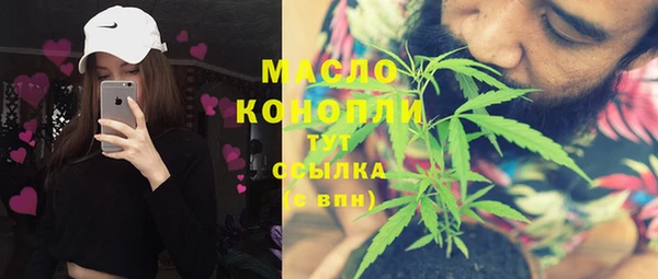 шишки Гусиноозёрск