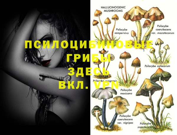 тгк Гусь-Хрустальный
