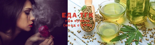 шишки Гусиноозёрск