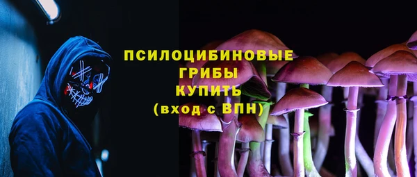 шишки Гусиноозёрск