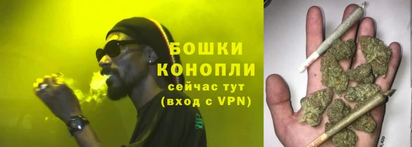 шишки Гусиноозёрск