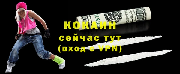 шишки Гусиноозёрск