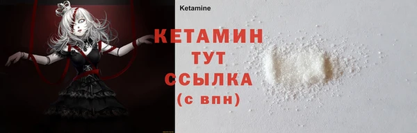 шишки Гусиноозёрск