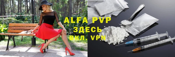 шишки Гусиноозёрск