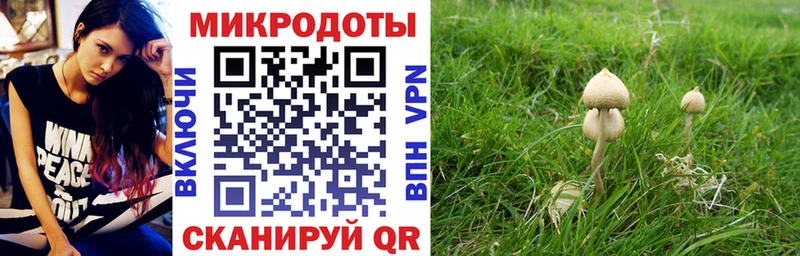 Купить закладки  Котельниково  Галлюциногенные грибы Cubensis 