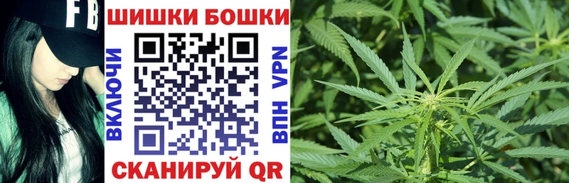 Купить закладки  Котельниково  Бошки марихуана индика 